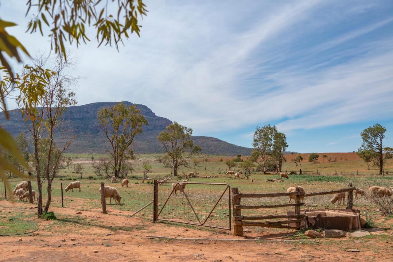 Rawnsley Park Station Ξενοδοχείο Flinders Ranges Εξωτερικό φωτογραφία