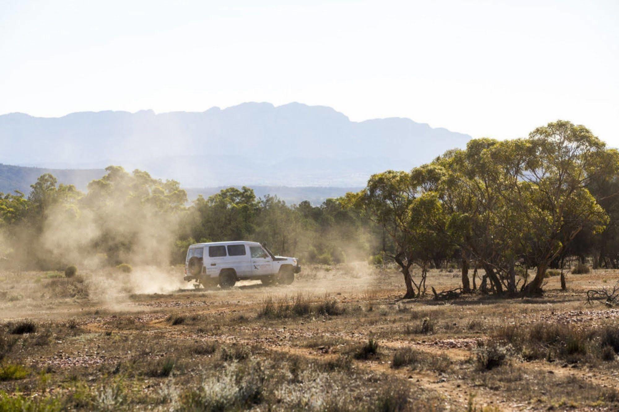 Rawnsley Park Station Ξενοδοχείο Flinders Ranges Εξωτερικό φωτογραφία